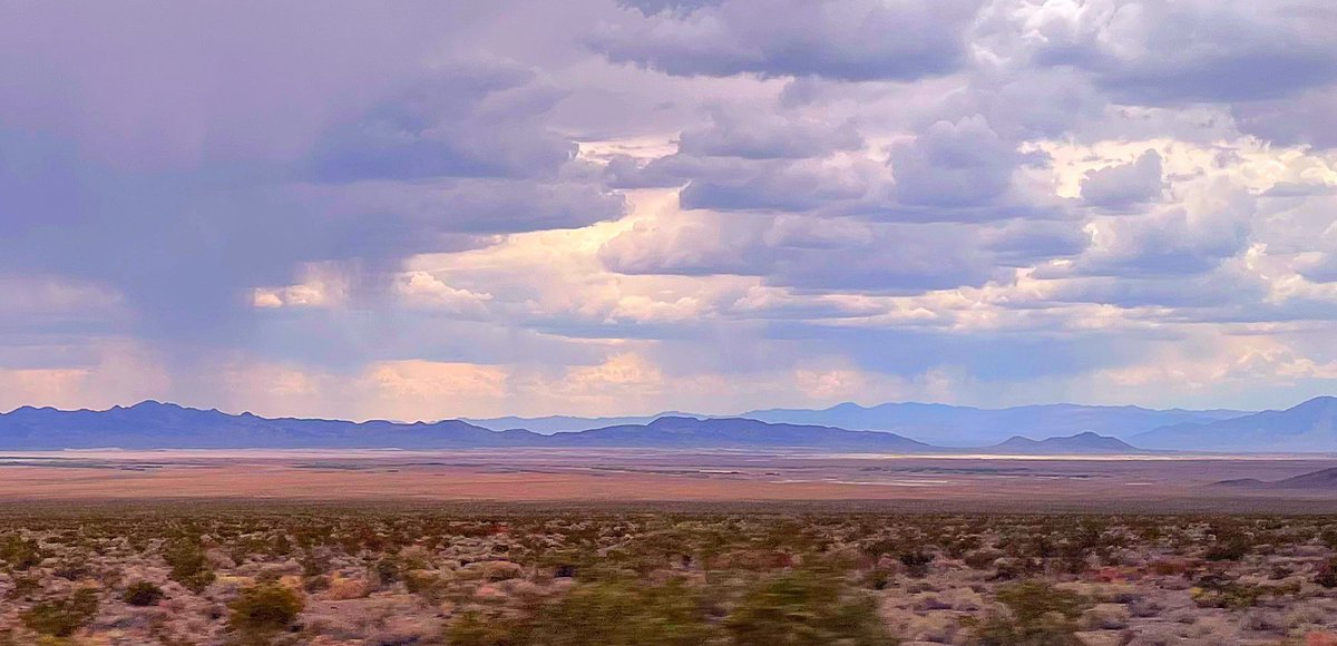 Mojave Desert vista with rain clouds, Clark County, Nevada. Public lands are under threat of disposal and urban sprawl by sneaky congressional bill, which proposes to ax the Ivanpah Area of Critical Environmental Concern that protects tortoise and white-margined penstemon