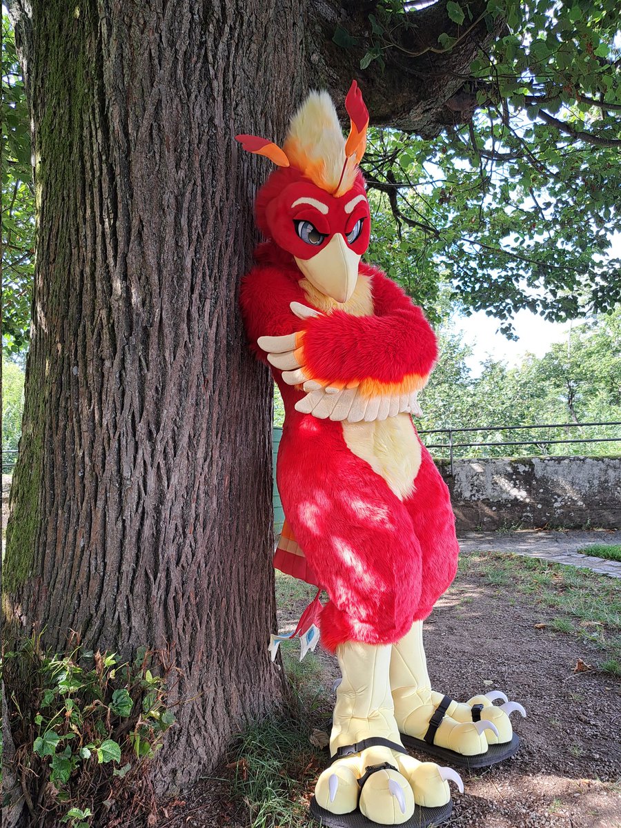 Sora (@sorayuna94) on Twitter photo Hello there and happy #FursuitFriday Is it a thing here on twitter? I think it is^^ This foto was made by <a href="/RRairyuu/">Raiden Rairyuu</a> , Suit was made by <a href="/ShagpokeStudios/">Shagpoke Studios</a> .
#fursuit #fursuiter #furry #birdfursuit #phoenixfursuit #phoenixfursona #birdfursona #furryfandom #furrycommunity Hello there and happy #FursuitFriday Is it a thing here on twitter? I think it is^^ This foto was made by <a href="/RRairyuu/">Raiden Rairyuu</a> , Suit was made by <a href="/ShagpokeStudios/">Shagpoke Studios</a> .
#fursuit #fursuiter #furry #birdfursuit #phoenixfursuit #phoenixfursona #birdfursona #furryfandom #furrycommunity
