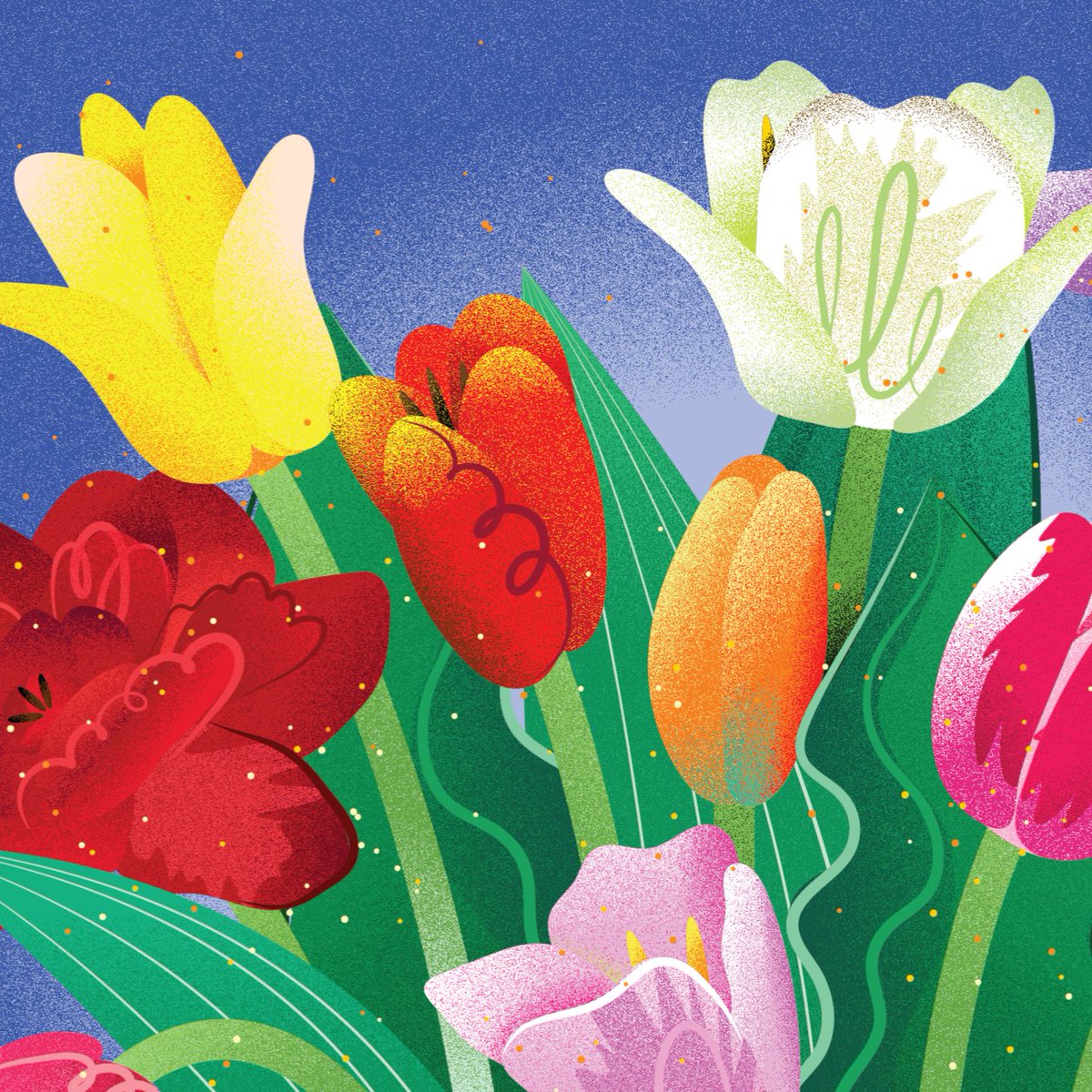hugepigeonjulia's tweet image. New greeting card 🎉✨
And also an animated version that I made with screen recording 😀

Tools: Adobe Illustrator 

#greetingcard #greetingcarddesign #MothersDay #bouquet #tulips #spring #artwork #artshare #artmoots #artistsontwitter #artistonx