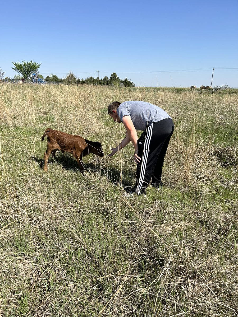 Cross County FFA (@crosscoffa) on Twitter photo Look out, John Dutton - we have THE calf whisperer, <a href="/MitchBoshart4/">Mitch Boshart</a>, on staff to help us out! Whether it’s getting the cows in or helping with newborn calves, we are thankful for you! Also, shoutout to <a href="/LynnBlex/">Lynn Blex</a> for getting our herd safely home yesterday! <a href="/CrossCounty1/">Cross County</a> Look out, John Dutton - we have THE calf whisperer, <a href="/MitchBoshart4/">Mitch Boshart</a>, on staff to help us out! Whether it’s getting the cows in or helping with newborn calves, we are thankful for you! Also, shoutout to <a href="/LynnBlex/">Lynn Blex</a> for getting our herd safely home yesterday! <a href="/CrossCounty1/">Cross County</a>