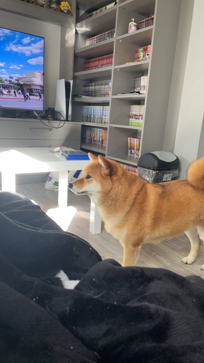 Yutamonbebe's tweet photo. Que ce que tu as vue à la fenêtre Yuta ? https://t.co/BbHJu1hy8K
