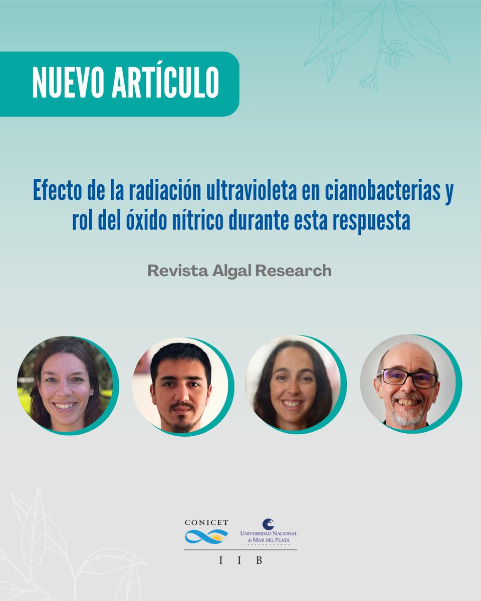 IIB-CONICET-UNMdP (@iibconicetunmdp) on Twitter photo Científicos del IIB publicaron un nuevo trabajo, allí se investigan los efectos de la exposición a la luz UV-B y los mecanismos moleculares que se desencadenan en cianobacterias para contrarrestar los daños generados por la radiación. doi.org/10.1016/j.alga… <a href="/TheMIPLab/">Molecular & Integrative physiology Lab-IIB 🧪🧬</a> Científicos del IIB publicaron un nuevo trabajo, allí se investigan los efectos de la exposición a la luz UV-B y los mecanismos moleculares que se desencadenan en cianobacterias para contrarrestar los daños generados por la radiación. doi.org/10.1016/j.alga… <a href="/TheMIPLab/">Molecular & Integrative physiology Lab-IIB 🧪🧬</a>