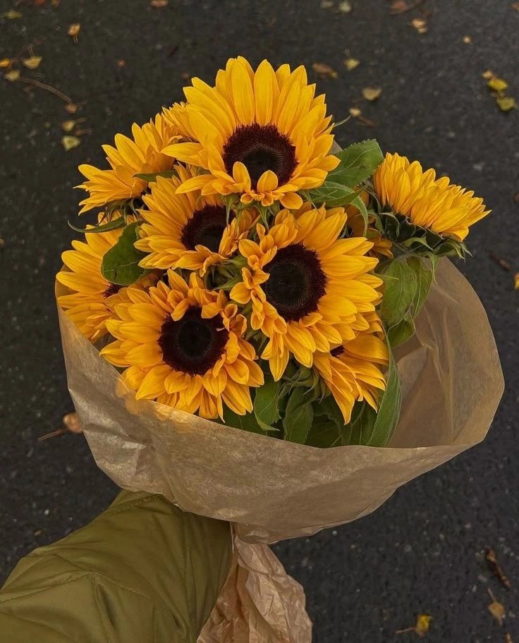 sunflowerchives's tweet image. 