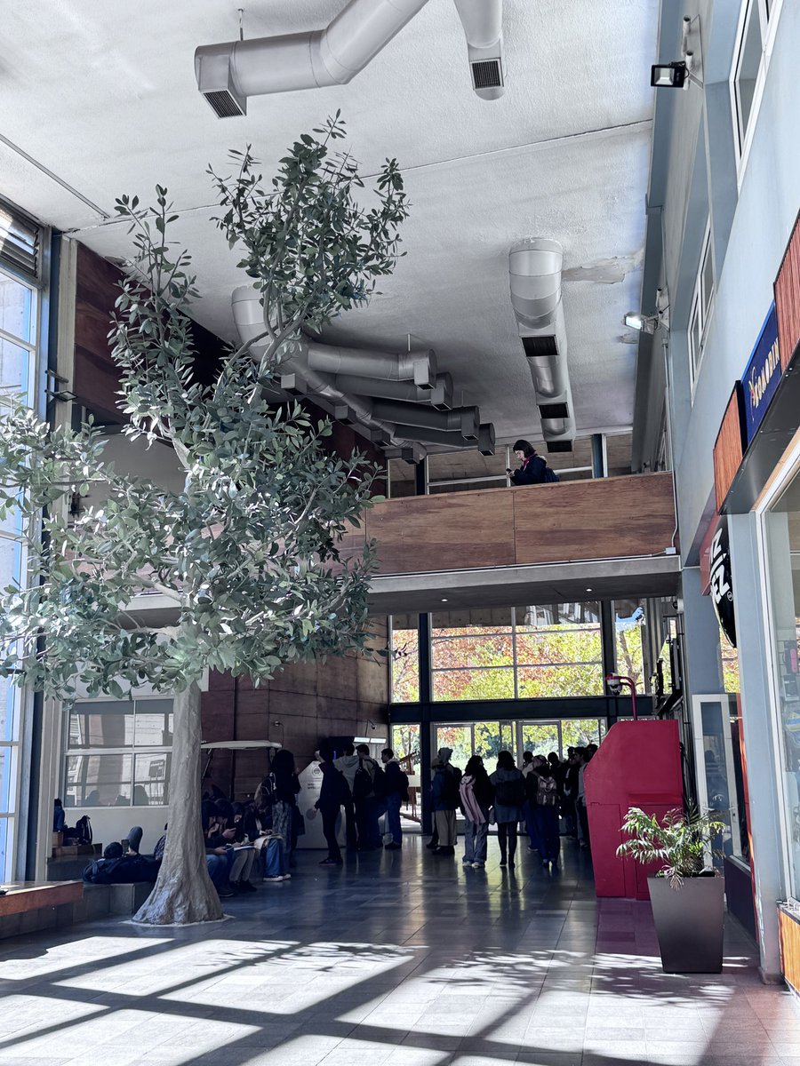 Professor Cristián Bonacič tweet media