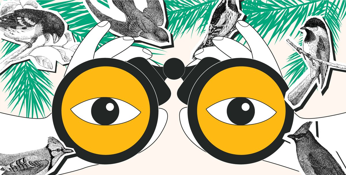 Appreciate the beauty of birds, from backyard sightings to exotic adventures, through storytelling and connection. And enter for your chance to win a birdwatching kit! 🐦🔍

📍 Northview Branch
📆 Tuesday, May 13 at 6:30 pm
To register ➡️ ow.ly/irB250VHLup