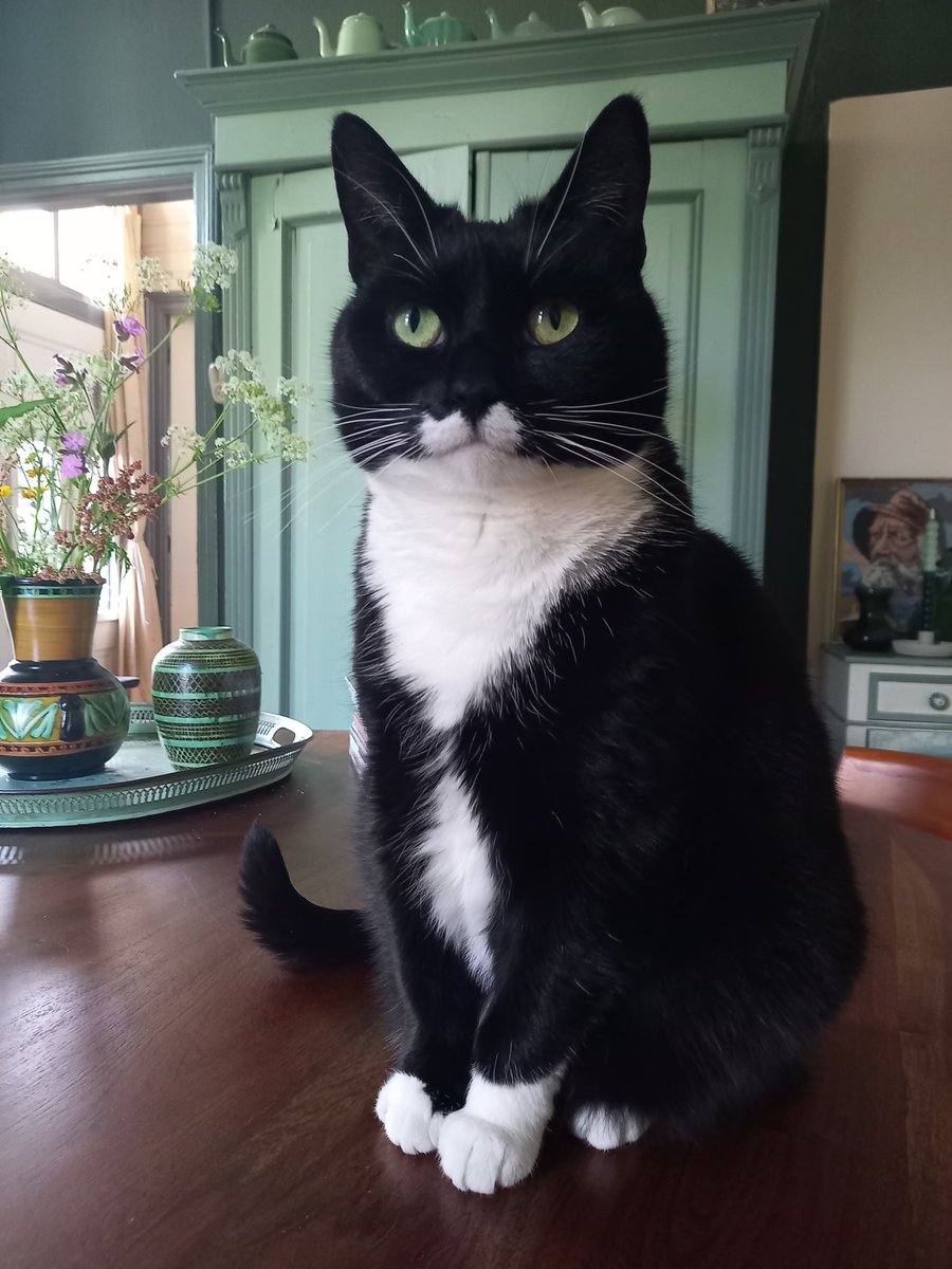 Iena Redeker tweet media