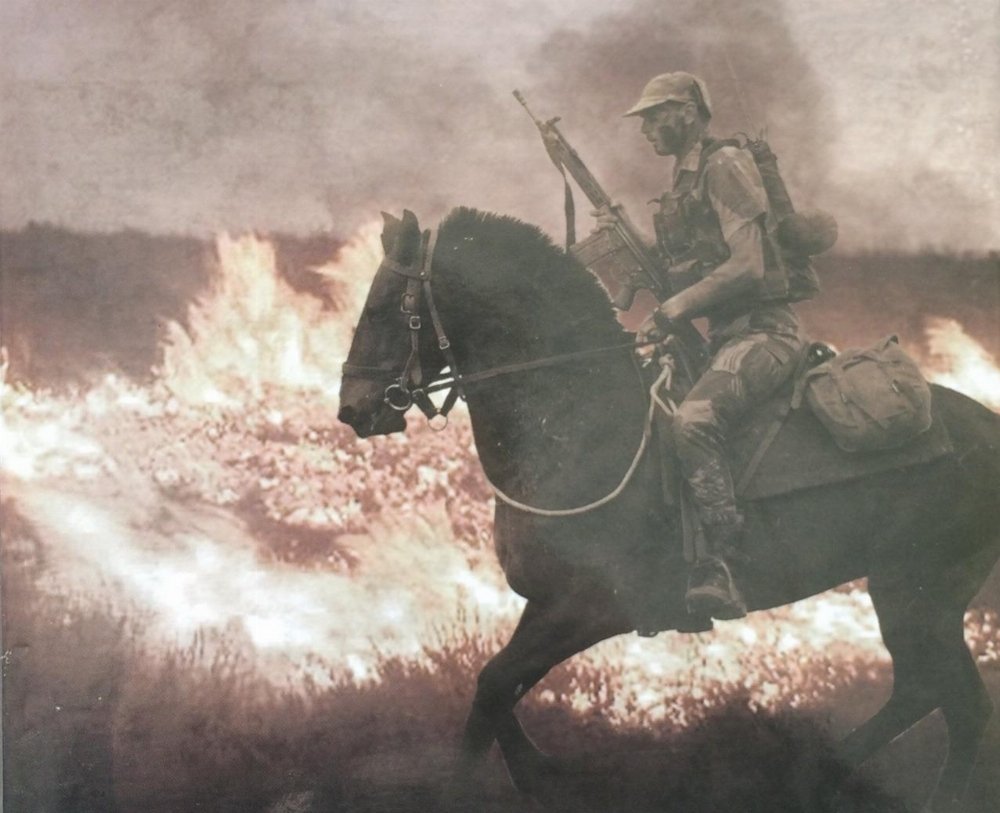 This is why Rhodesia is such a good conflict to study: it presents the perfect litmus test

It pits the two firmly against each other would you rather  have anti-egalitarian excellence or the hellish decay of total equity?

It was destroyed by the communists and the "free world"