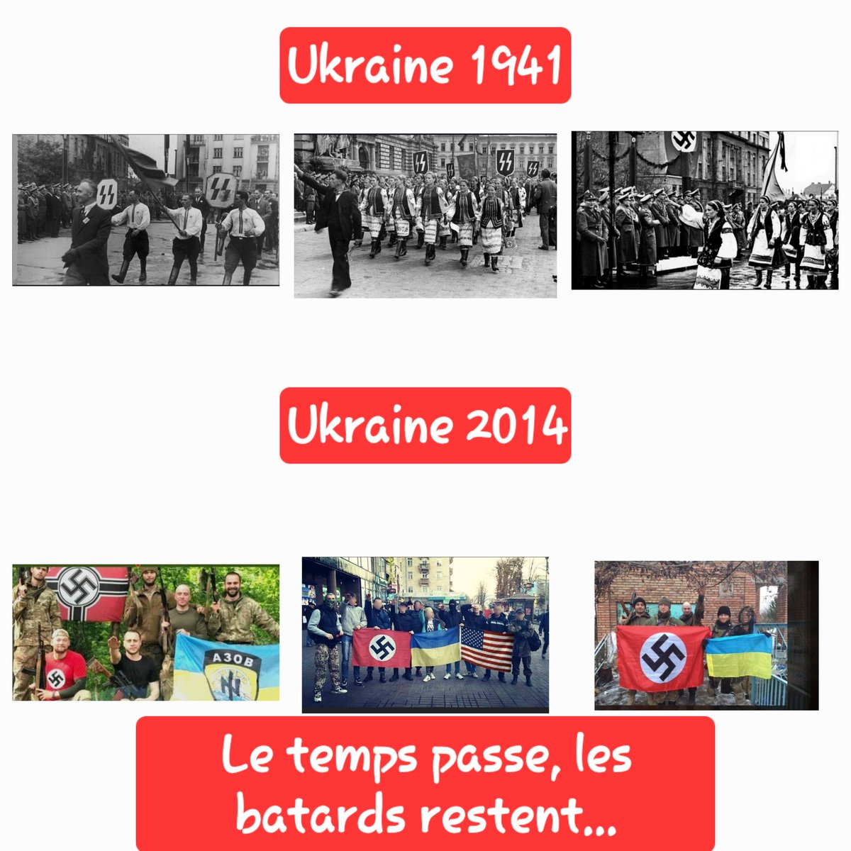 cryptoides's tweet image. 