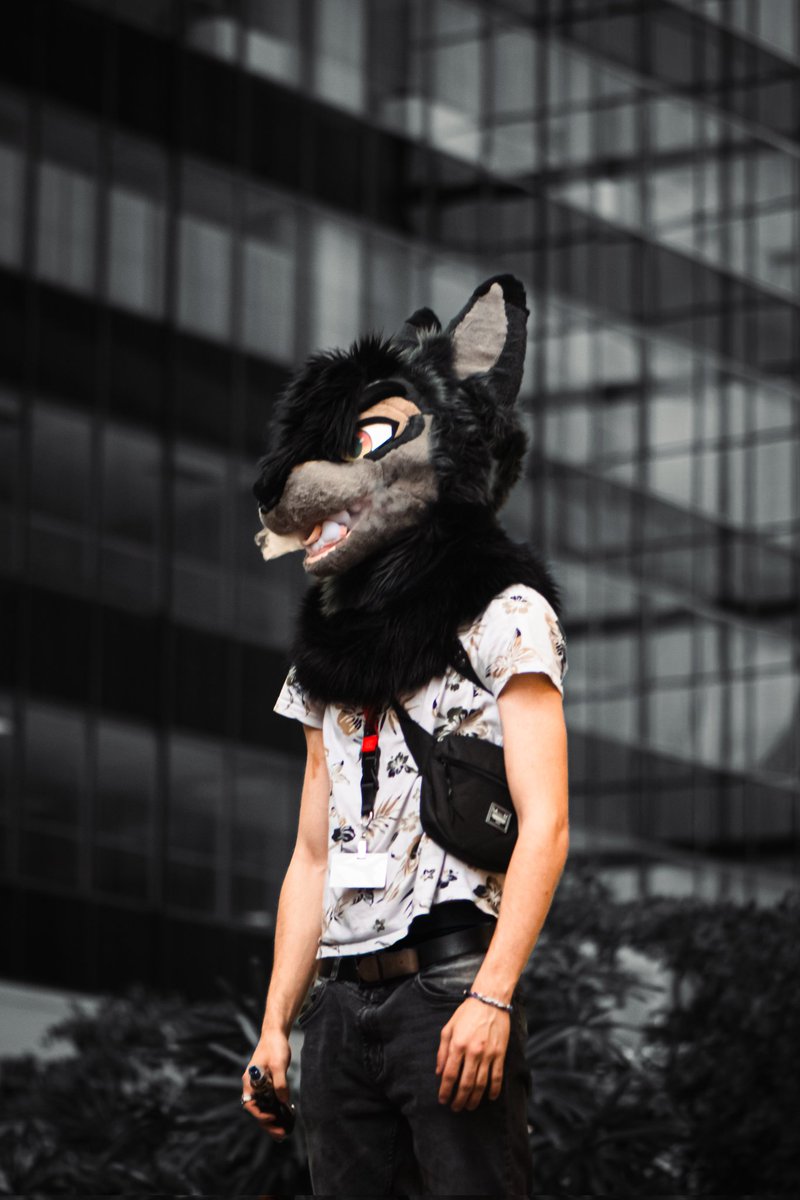 It's freaky whiteboy friday, where the freaks at?
#fursuitfriday

📷<a href="/BellTBull/">Taco Bull 🐂 iFC</a>