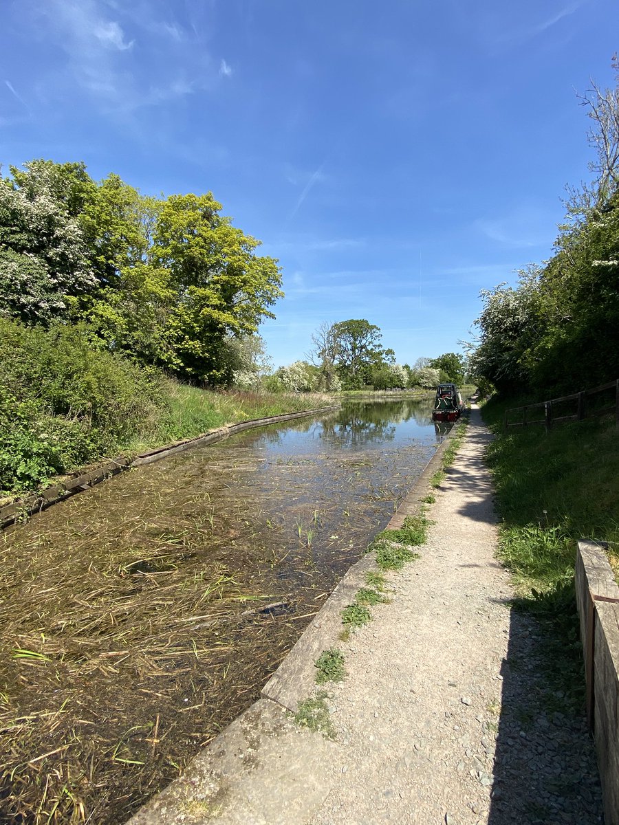 Do you like canals? Fancy helping an amazing group of people to restore the Montgomery Canal? Here’s how! This is a great project and I saw some
of it today in person. Brilliant stuff. Get in touch and be part of history. 👍😊🏞️🦦