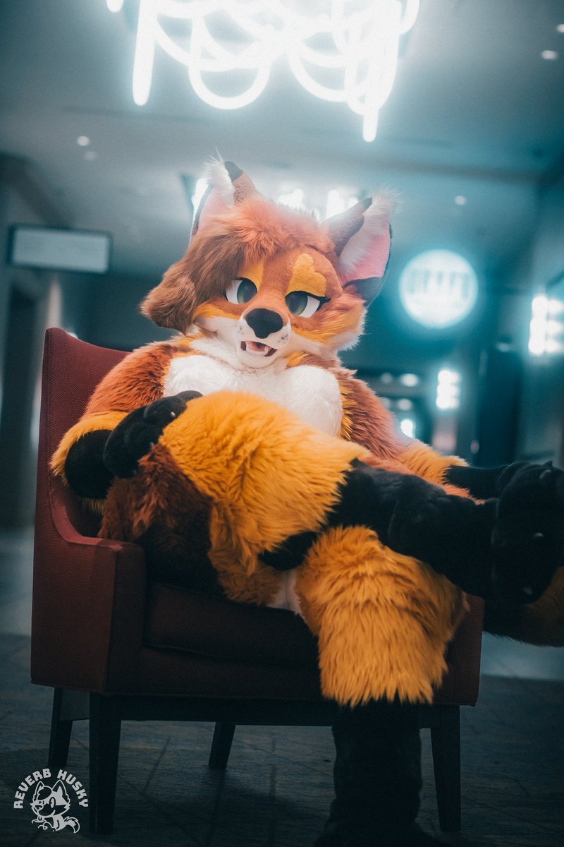 Foxycfreezy (@foxycfreezy) on Twitter photo Come find me at #FWA2025 I'm waiting for you! π
π§΅ <a href="/lemonbrat/">Lemonbrat@Anthrocon! πππ</a>
πΈ <a href="/ReverbHusky/">Reverb Husky</a>
#FursuitFriday Come find me at #FWA2025 I'm waiting for you! π
π§΅ <a href="/lemonbrat/">Lemonbrat@Anthrocon! πππ</a>
πΈ <a href="/ReverbHusky/">Reverb Husky</a>
#FursuitFriday