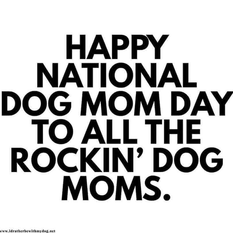 The Reiki Master / Dog Trainer (@mike00145234) on Twitter photo 