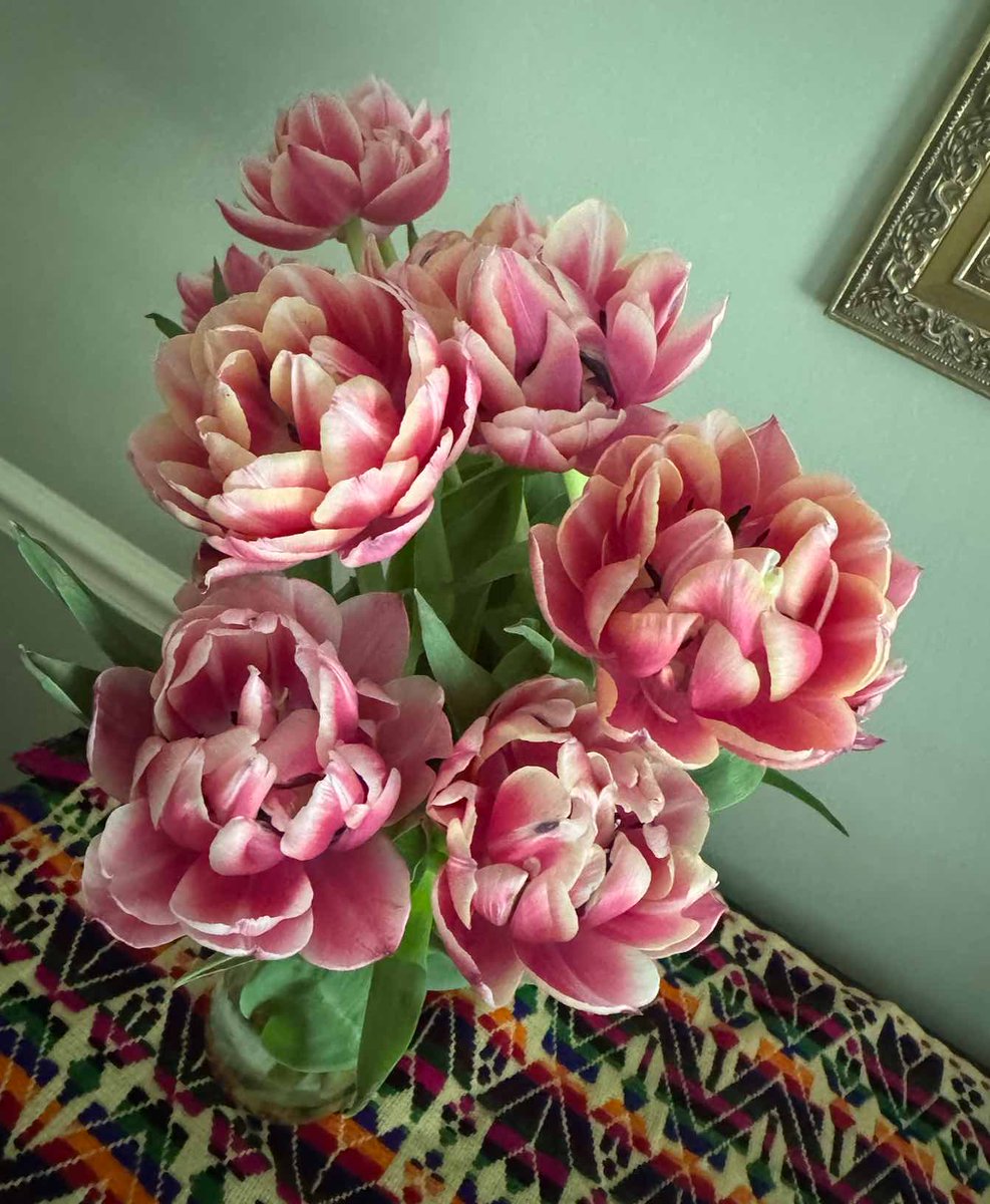 Happy #FridayFlowers, Friends! 🌷
Sending positivity via parrot tulips! The Victorians saw tulips as a symbol of collaboration—beautiful things happen when we work together.  Wishing you a Mother’s Day weekend filled with love &amp; inspiration! #mothersday #flowerphotography