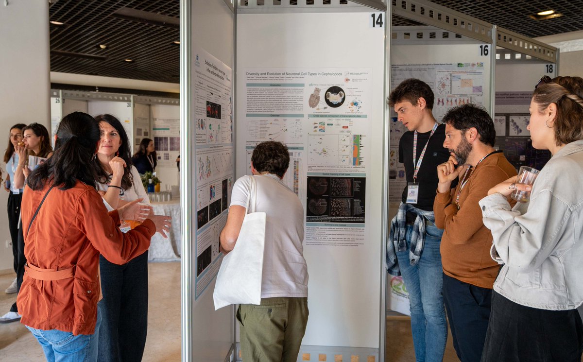 #ECCN2025 was a key meeting point for researchers working with a wide range of animal models, from invertebrates to vertebrates.  Plenary talks, flash sessions, posters, and networking events fostered discussion and exchange on the latest findings in comparative neuroscience🧠📷