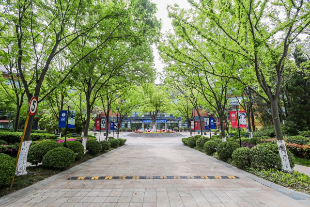 K12academics's tweet image. Shanghai Singapore International School (SSIS), founded in 1996, offers a comprehensive international education for foreign families with children aged 2 to 18.
bit.ly/4m8mVYh
#InternationalSchool #SingaporeEducation #ShanghaiInternationalSchool #IB #IGCSE