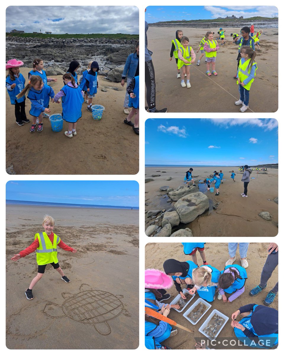 Diolch <a href="/BeachAcadWales/">Beach Academy</a> for two fantastic days in Rest Bay this week! The children had a wonderful time doing an amazing range of activities to inspire them for our new topic ‘Coastline and Countryside’. A huge thank you to all your wonderful staff