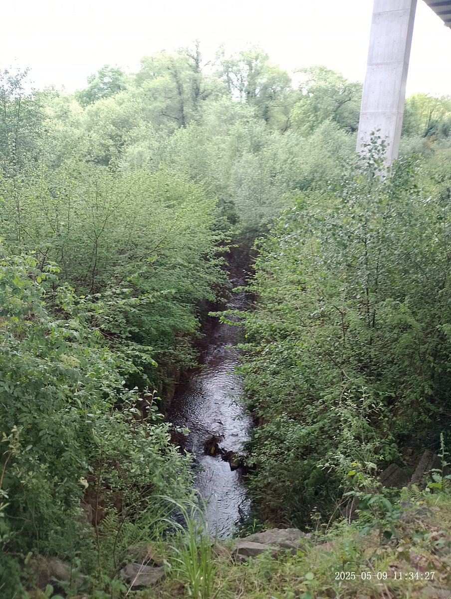 De como un proxecto de obra civil non só pode prever un impacto negativo, tamén o de facilitar a reconquista dos ecosistemas, que adormecían no esquecemento.