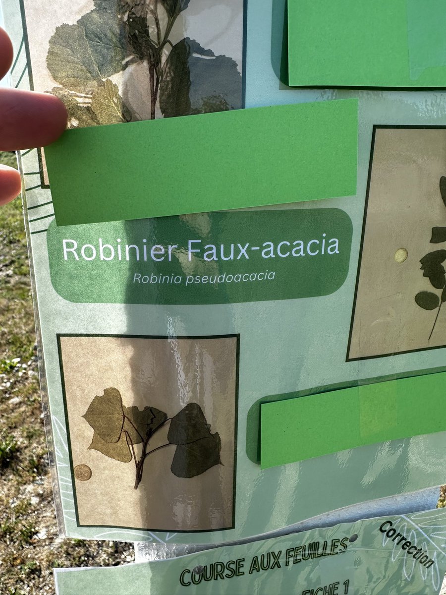 Thomas CHAMBON tweet media