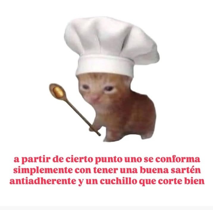 animalitos gorditos (@gordito_perrito) on Twitter photo 