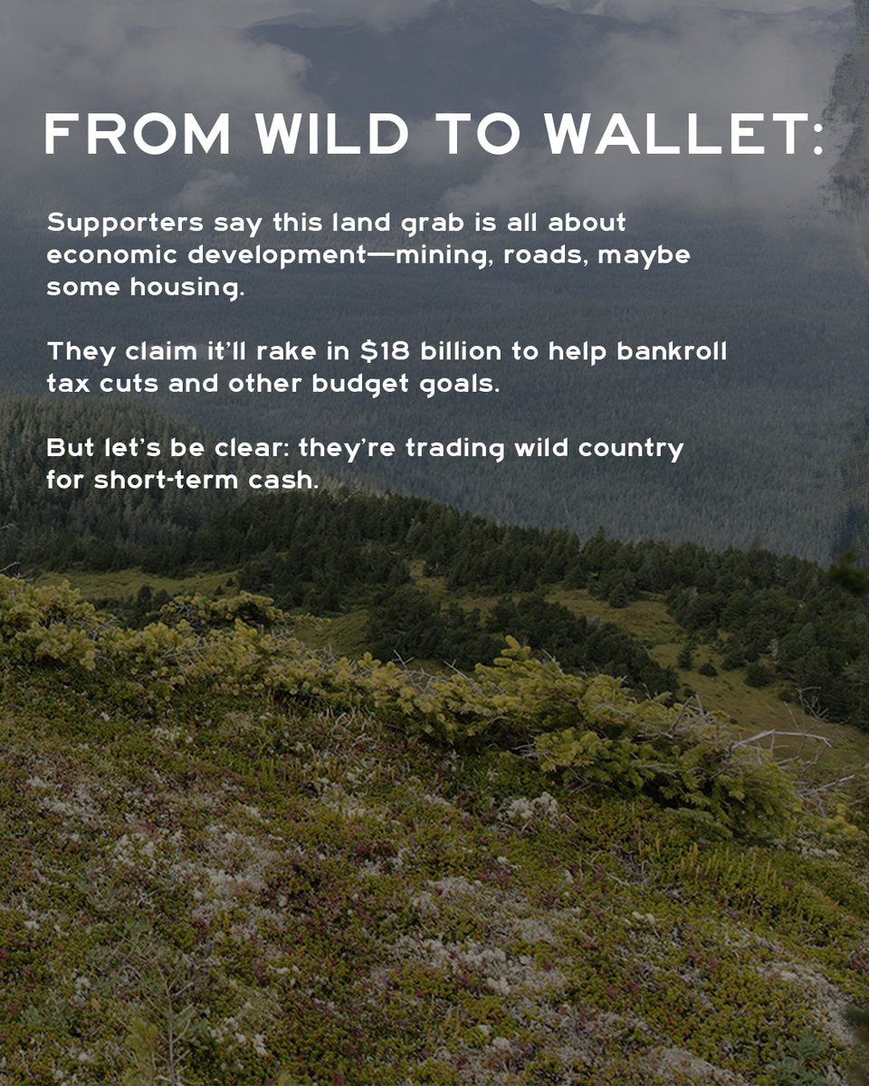 MeatEaterTV's tweet image. Over 500,000 acres of BLM and Forest Service land could be sold off. Ground we hunt, fish, and roam.

This land belongs to us—not the highest bidder.

Tell your lawmakers to oppose the sell-off: bit.ly/4iOxI6V