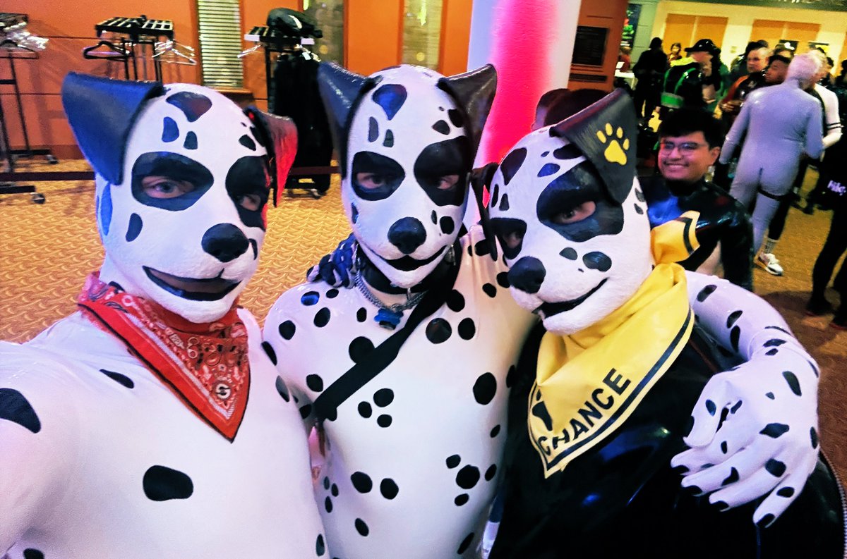 Throwback to Spotty times with <a href="/BestPup/">Chance @Best Pup</a> and <a href="/pup_squeak/">Squeak</a>   ♥️ 🤍🖤