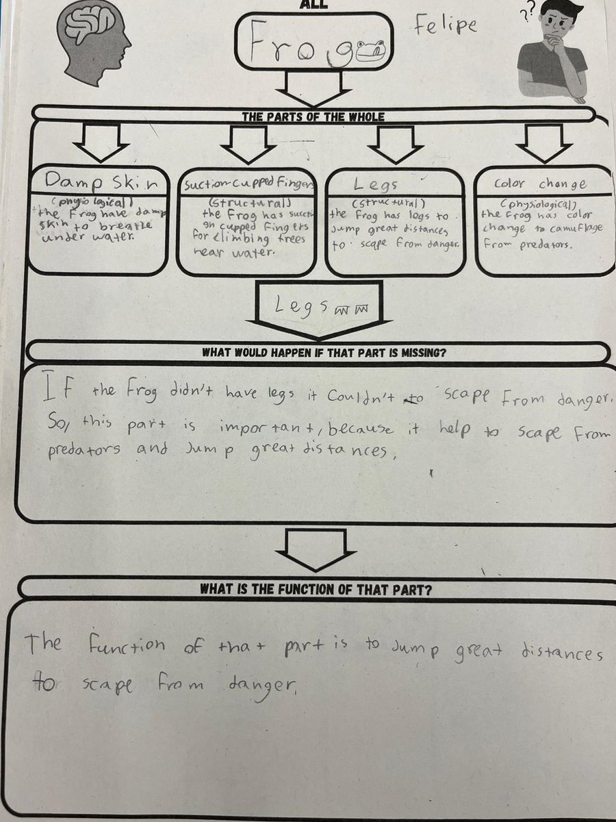 TomasGarcia7684's tweet image. 🐾 ¿Cómo analizar las partes de un animal que le ayudan a sobrevivir en su ecosistema usando una destreza de pensamiento?
Trabajo con el Aprendizaje Basado en el Pensamiento (TBL), pero… ¿Cómo se aplica en clase?🤔💭

Si te interesa, quédate. Te lo explico paso a paso 🧵(1/13)