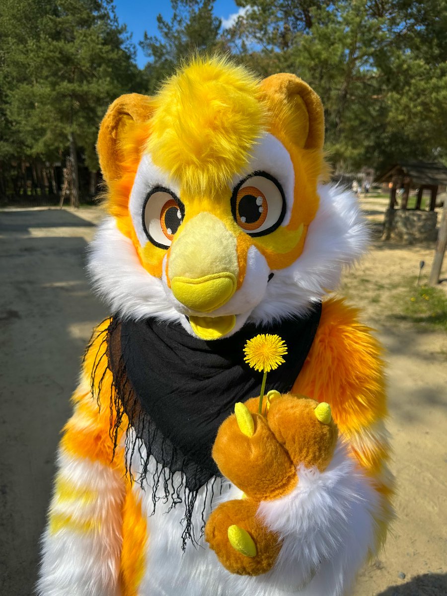Happy #fursuitfriday 🏵🌼

📸 <a href="/NirdianLickyBoi/">Nirdian</a>