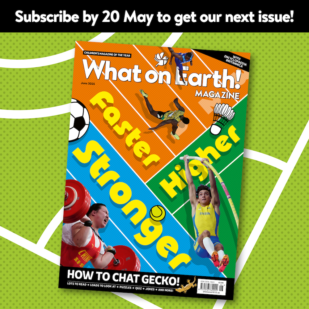 What on Earth! Books (@whatonearthbook) on Twitter photo ⏳ The countdown is on! Subscribe by 20th May to unlock the next issue of <a href="/WhatonEarth_Mag/">What on Earth! Magazine</a> – where sporting legends leap off the page!
Step inside our action-packed new issue and…
🏈 Gasp in awe at history’s greatest sporting feats
🦓 Discover how animals have feelings and ⏳ The countdown is on! Subscribe by 20th May to unlock the next issue of <a href="/WhatonEarth_Mag/">What on Earth! Magazine</a> – where sporting legends leap off the page!
Step inside our action-packed new issue and…
🏈 Gasp in awe at history’s greatest sporting feats
🦓 Discover how animals have feelings and