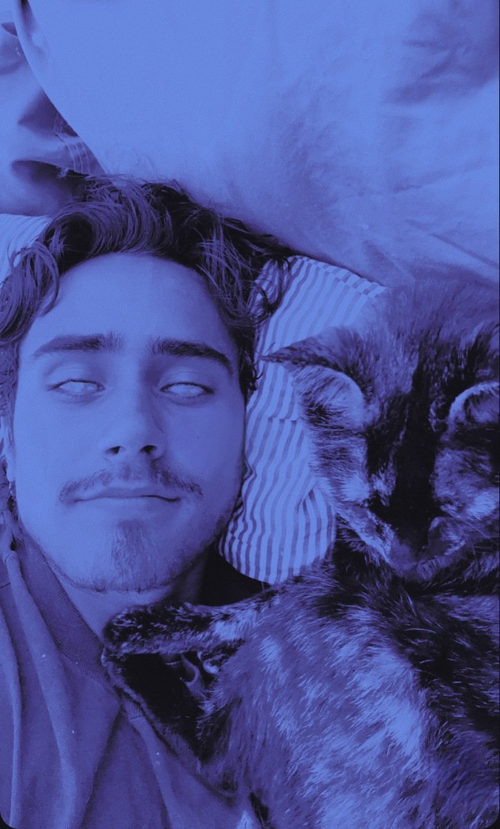 𝐍ɪɢʜᴛᴄʀᴀᴡꪶᴇʀ ⴕ tweet media