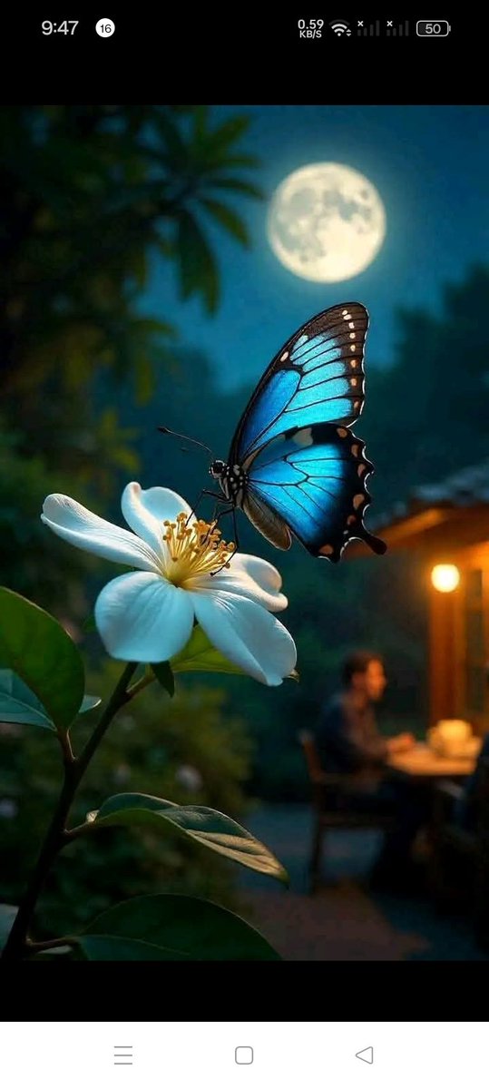 Good Night X Family's