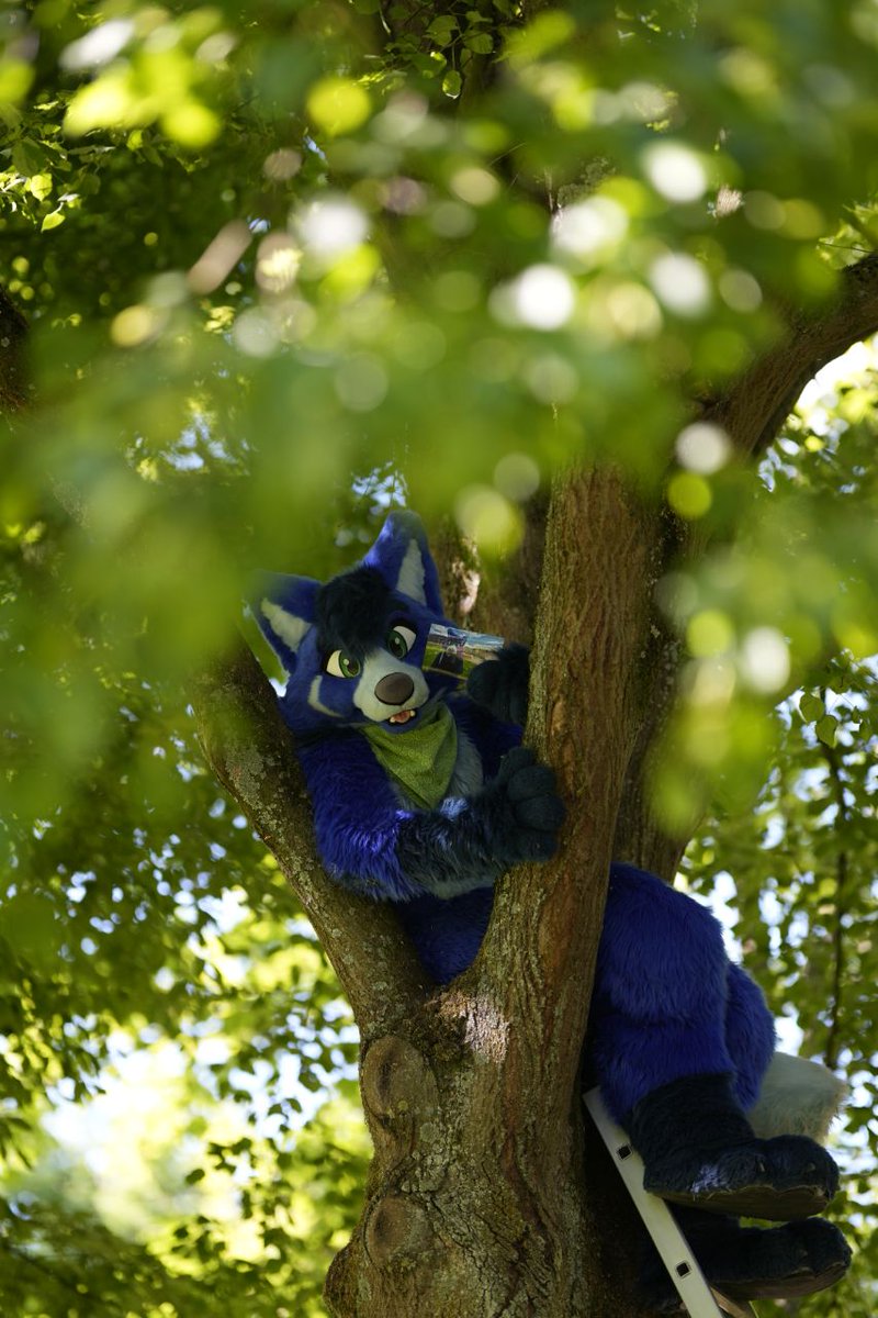 Regards from Furciety

#projektTimeline
📷 <a href="/lextramow/">Lexi McSwirl</a>