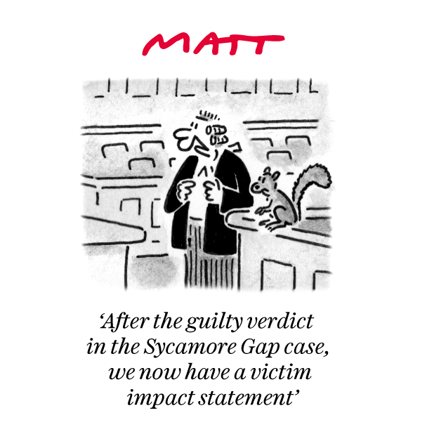 Matt Cartoons (@mattcartoonist) on Twitter photo 'After the guilty verdict in the Sycamore Gap case, we now have a victim impact statement'
My latest cartoon for tomorrow's <a href="/Telegraph/">The Telegraph</a>
Buy a print of my cartoons at telegraph.co.uk/mattprints
Original artwork from chrisbeetles.com 'After the guilty verdict in the Sycamore Gap case, we now have a victim impact statement'
My latest cartoon for tomorrow's <a href="/Telegraph/">The Telegraph</a>
Buy a print of my cartoons at telegraph.co.uk/mattprints
Original artwork from chrisbeetles.com