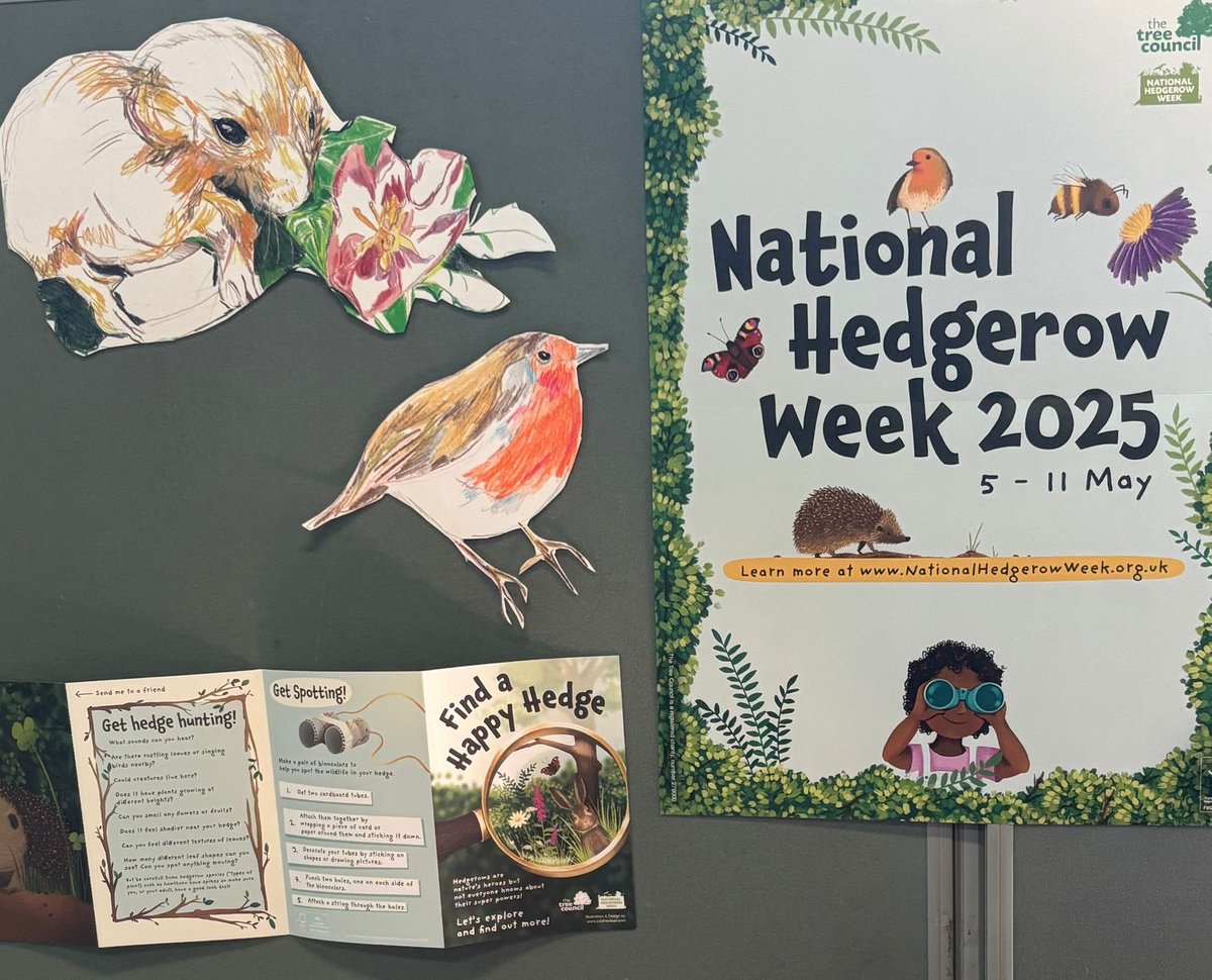 CharltonLib's tweet image. Join us at #CharltonLibrary tomorrow from 10.30-11.30am for the children’s #LibraryFunClub! We’ll be marking #NationalHedgerowWeek by designing hedgehogs 🦔 We also have a display where you can be more inspired by nature 🍃 #LoveYourLibrary