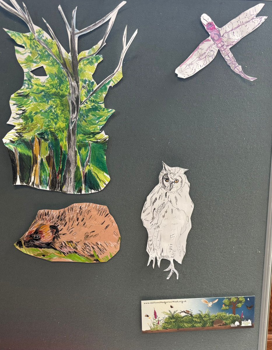 CharltonLib's tweet image. Join us at #CharltonLibrary tomorrow from 10.30-11.30am for the children’s #LibraryFunClub! We’ll be marking #NationalHedgerowWeek by designing hedgehogs 🦔 We also have a display where you can be more inspired by nature 🍃 #LoveYourLibrary