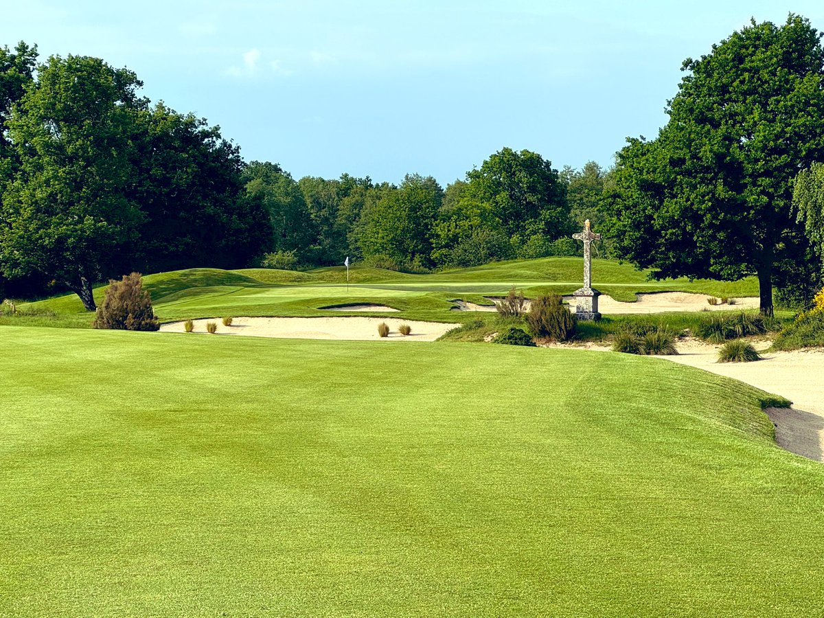 David Shepherd tweet media