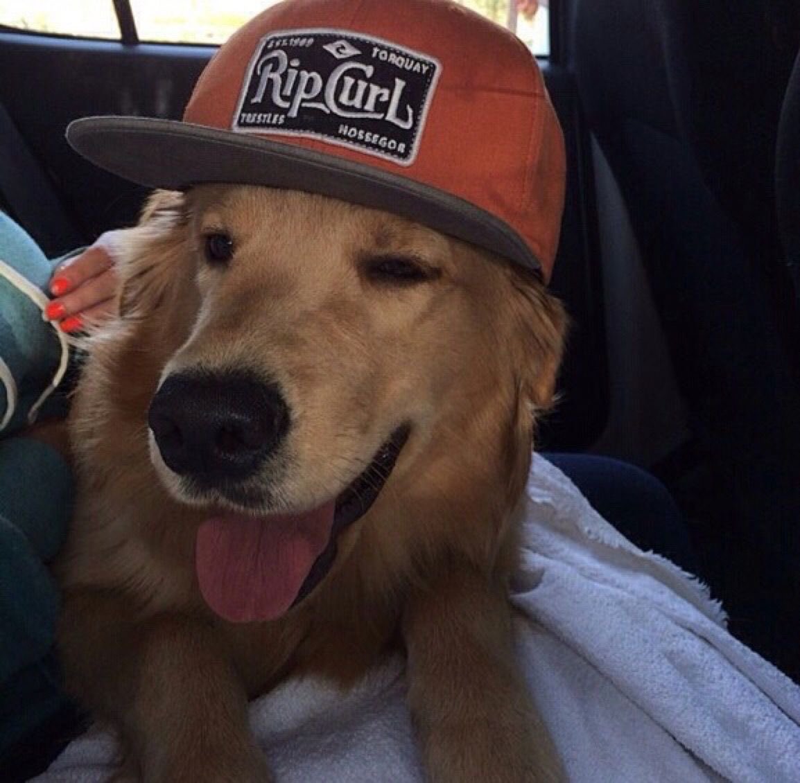 amanton (@amntonni) on Twitter photo 