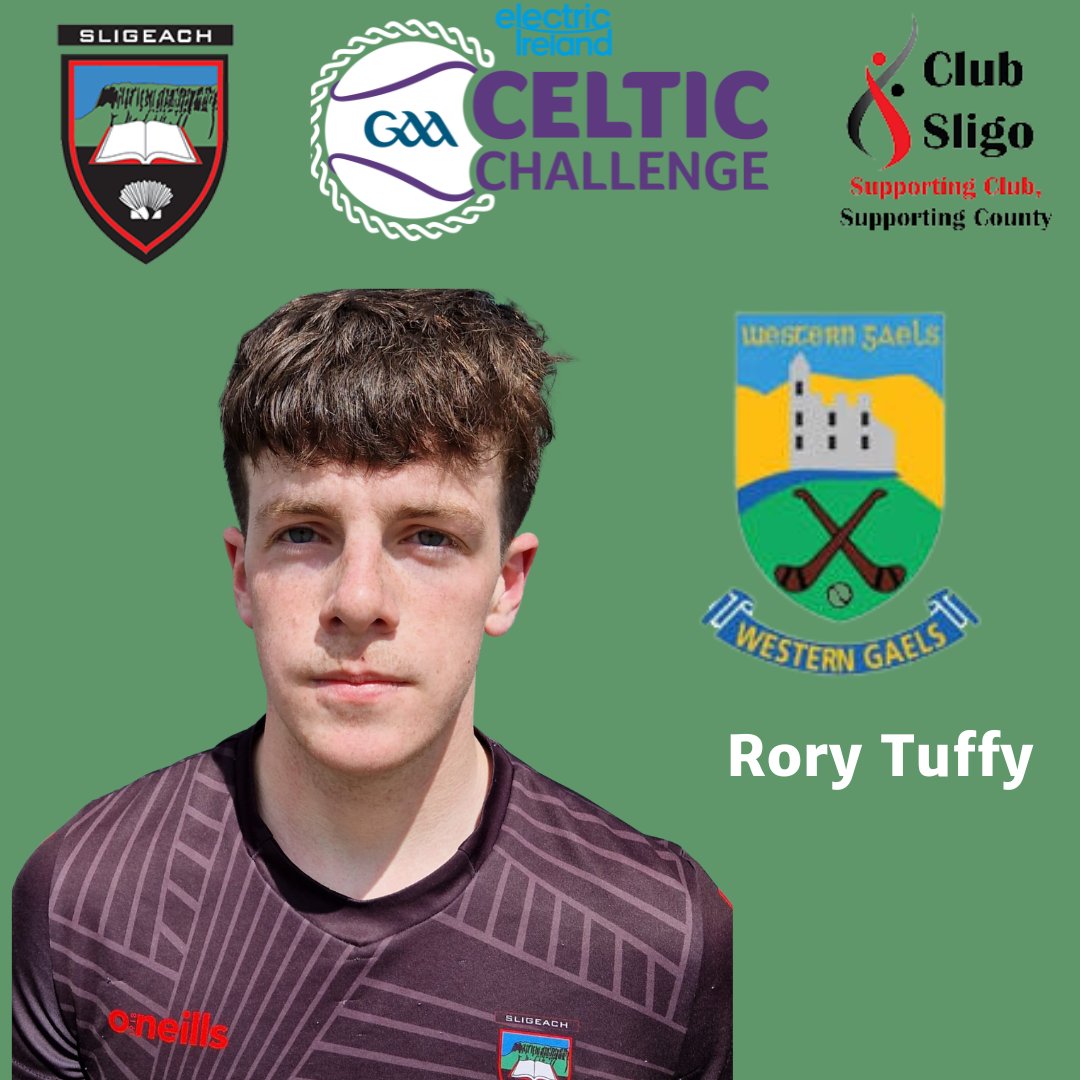 Representing all of the hurling clubs of the county