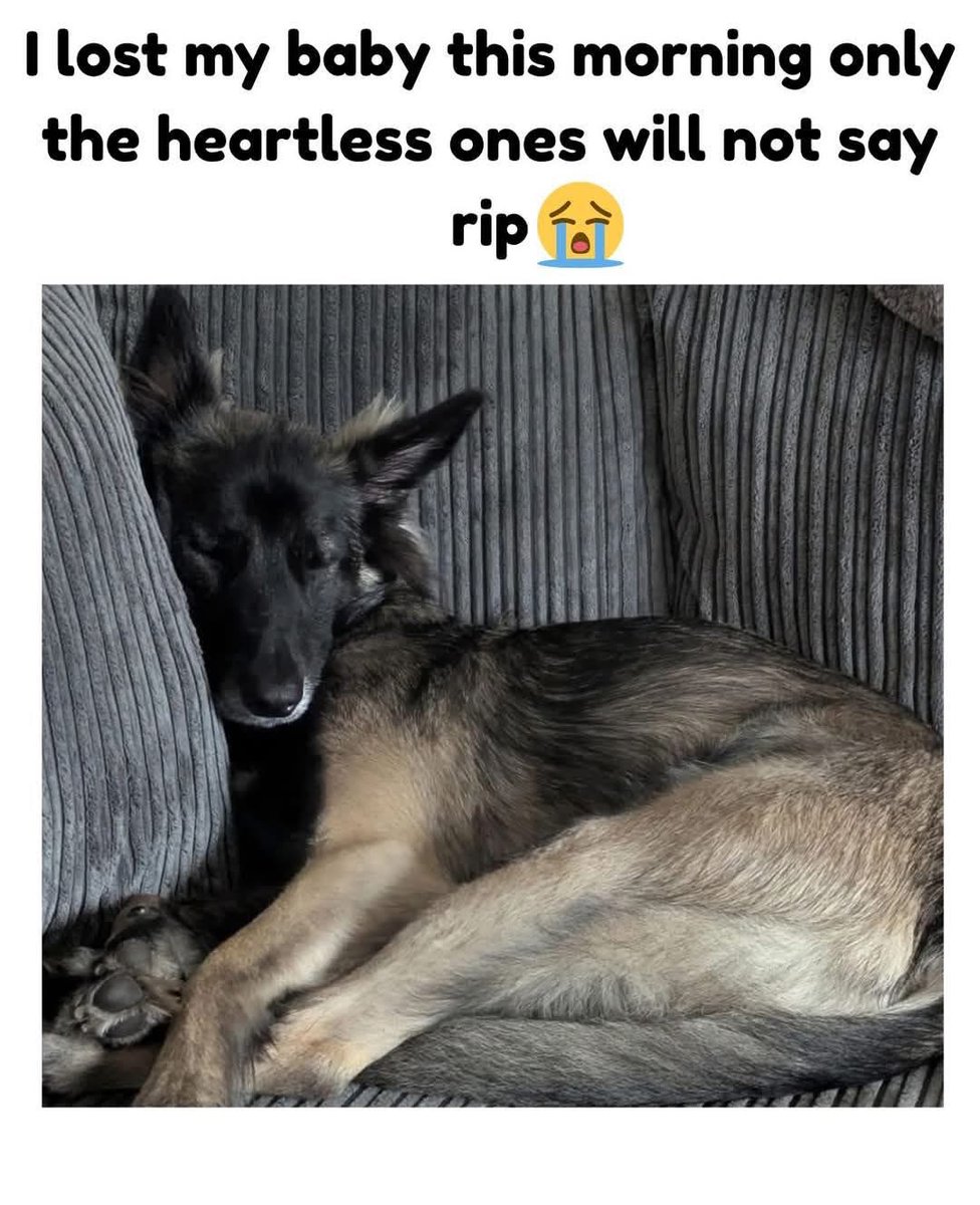 I lost my baby this morning only the heartless ones will not say rip 😭