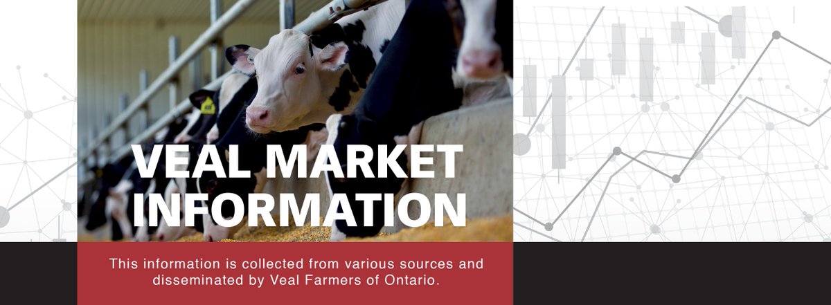 #vealmarkets info for the week ending May 9:

Direct to packer lower. Sales barn Avg$&gt;600lbs. ↑2.47, with Avg. wt. ↓ at 766lbs. Avg$&lt;125lbs. ↓11.81, with Avg. wt. steady at 102lbs.                                    

Find the full report here: vealfarmers.ca/wp-content/upl…