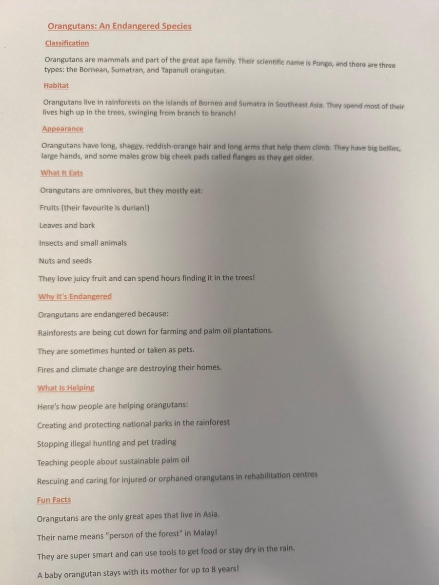 🐢 Sea turtle 🐢 art today 🎨 super drawing skills here✏️ We used watercolor paints and markers!

 This tied in well with our report writing this week as we wrote a report about an endangered animal 🐒 🐘 Great examples by Holly and Lauren here 🖊️