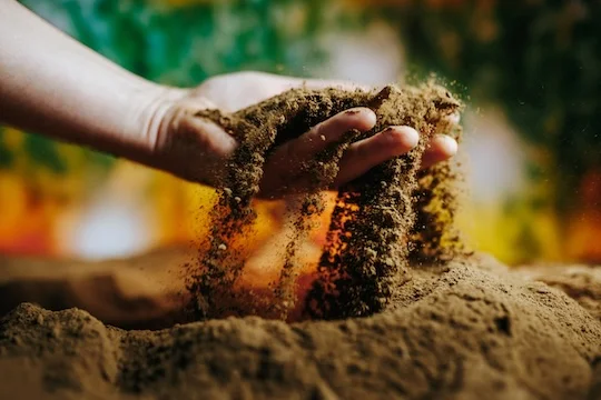 Rice Engineering and Computing (@riceengineering) on Twitter photo Machine learning powers detection of soil contaminants linked to cancer and other serious health problems in new PNAS study by <a href="/RiceUniversity/">Rice University</a> researchers. #SolvingforGreaterGood 🌱
đź”—Read more here: bit.ly/42OVET5
<a href="/RiceECE/">Rice Electrical & Computer Engineering</a> <a href="/RiceCEVE/">Rice University Civil & Environmental Engineering</a> <a href="/RiceMSNE/">Rice Materials Science & NanoEngineering</a> <a href="/RiceCHBE/">Rice U. Chemical & Biomolecular Engineering</a> <a href="/RiceCompSci/">Rice Computer Science</a> Machine learning powers detection of soil contaminants linked to cancer and other serious health problems in new PNAS study by <a href="/RiceUniversity/">Rice University</a> researchers. #SolvingforGreaterGood 🌱
đź”—Read more here: bit.ly/42OVET5
<a href="/RiceECE/">Rice Electrical & Computer Engineering</a> <a href="/RiceCEVE/">Rice University Civil & Environmental Engineering</a> <a href="/RiceMSNE/">Rice Materials Science & NanoEngineering</a> <a href="/RiceCHBE/">Rice U. Chemical & Biomolecular Engineering</a> <a href="/RiceCompSci/">Rice Computer Science</a>