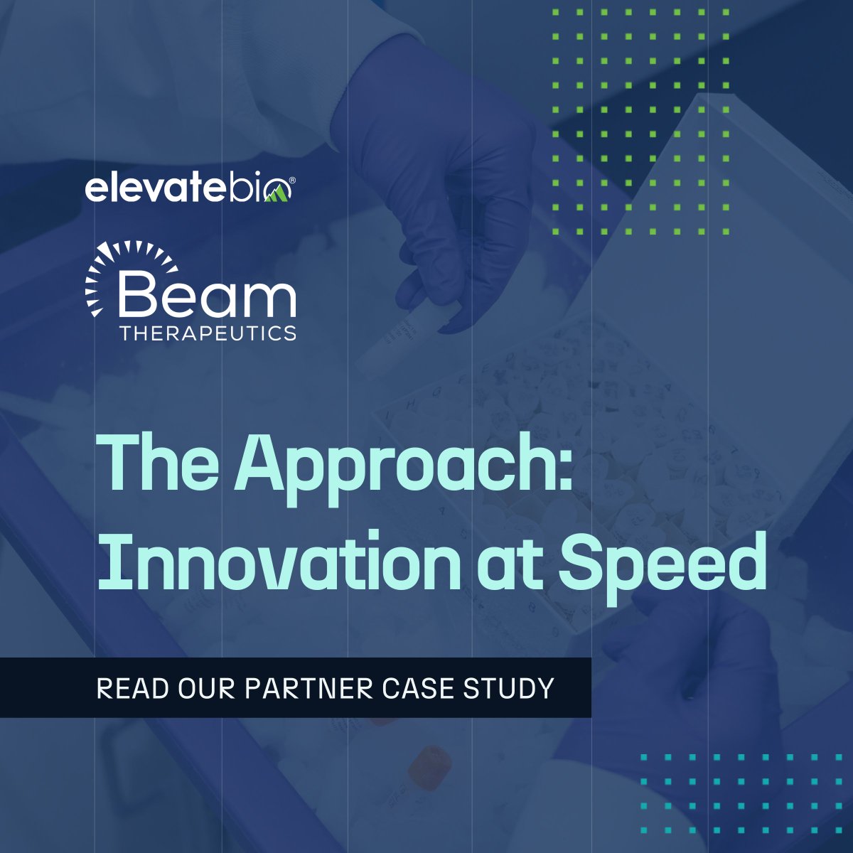 ElevateBio (@elevatebio) on Twitter photo We partnered with <a href="/BeamTx/">Beam Therapeutics</a> to manufacture BEAM-101, an investigational base editing therapy for sickle cell disease. BaseCamp's comprehensive strategy combined technical expertise with dedicated program management. Read our innovative approach here: elevate.bio/elevated-insig⦠We partnered with <a href="/BeamTx/">Beam Therapeutics</a> to manufacture BEAM-101, an investigational base editing therapy for sickle cell disease. BaseCamp's comprehensive strategy combined technical expertise with dedicated program management. Read our innovative approach here: elevate.bio/elevated-insigā¦