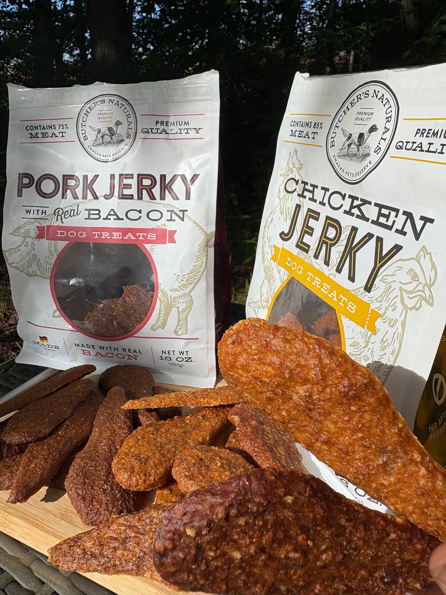 weenie has been workingg🐾
wanted to share some product shots and i loved the way these turned out. 

first time photos were requested and i enjoyed the challenge. lmk what you think!! 

chico did so good😍

#ugc #ugccommunity #petugc