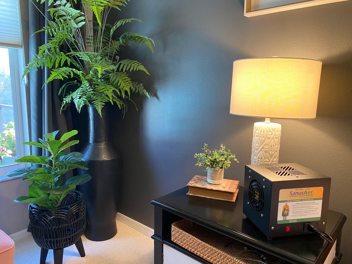 SanusAer's tweet image. Discover the benefits of ozone technology for indoor purification 🌬️✨. Our latest post shares how ozone generators can enhance your quality of life! Read more here: wix.to/868iC2W #OzoneTechnology #IndoorPurification #HealthierHome
wix.to/ke2JMXe