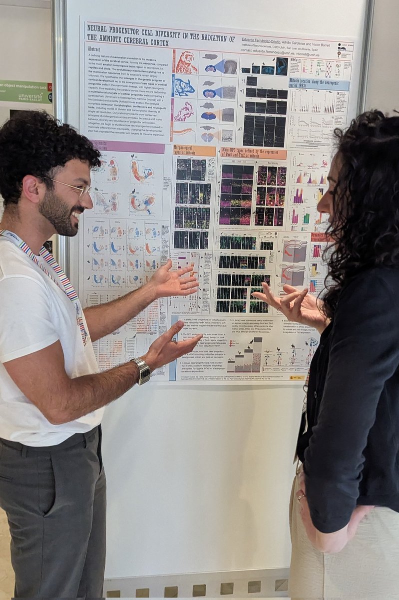 Participating in this conference was a real motivation booster. Sharing the enthusiasm about how animal diversity came to be was a lot of fulfilling fun :P  #ECCN2025 #Alicante