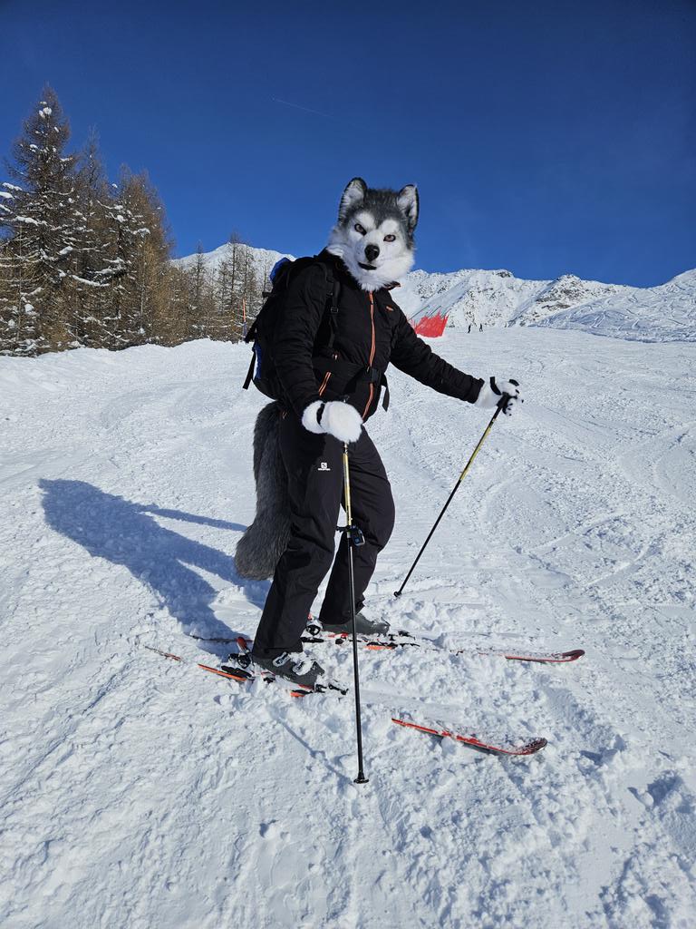 How are your skiing/snowboarding skills?

#FursuitFriday 

🧵 <a href="/DireCreatures/">DireCreatures</a>