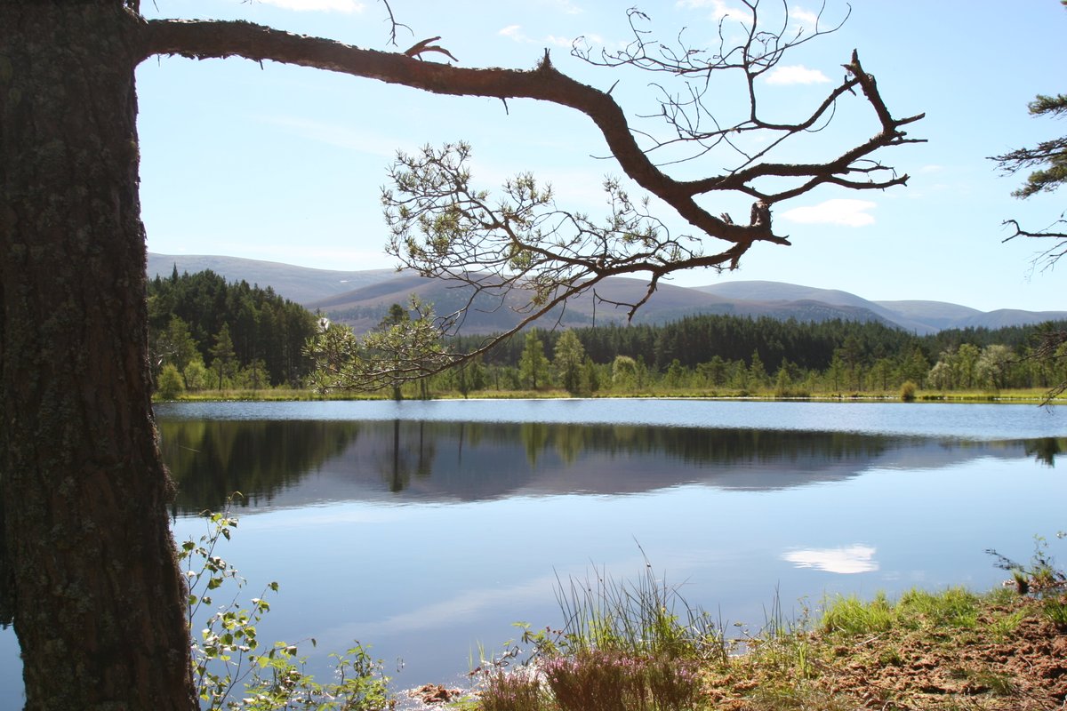 🌞🏞️ Bask in the Beauty of the Scottish Highlands! 🌞🏞️

With this incredible weather blessing us, why not seize the day and escape to the breathtaking Scottish Highlands?

🔗Book your getaway now
greatnorthlodges.co.uk