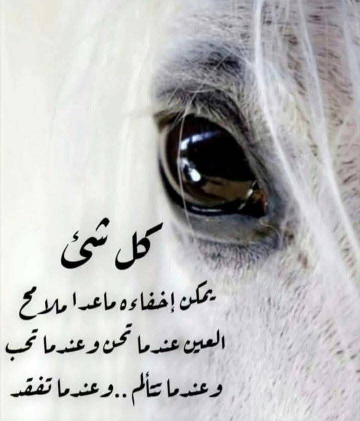 كُلُ شئٍ يُمكنُ إخفاؤه…

إلا ملامِحُ العين..

حين تحنُ…

وحين تحزن..

وحين تفتقِدُ شخصاً…

ولو زارني طيفُ غَيرِكَ في منامي…

لهجرتُ كُلِ غفوةٍ…

حتى تتأدبُ أحلامي  ....