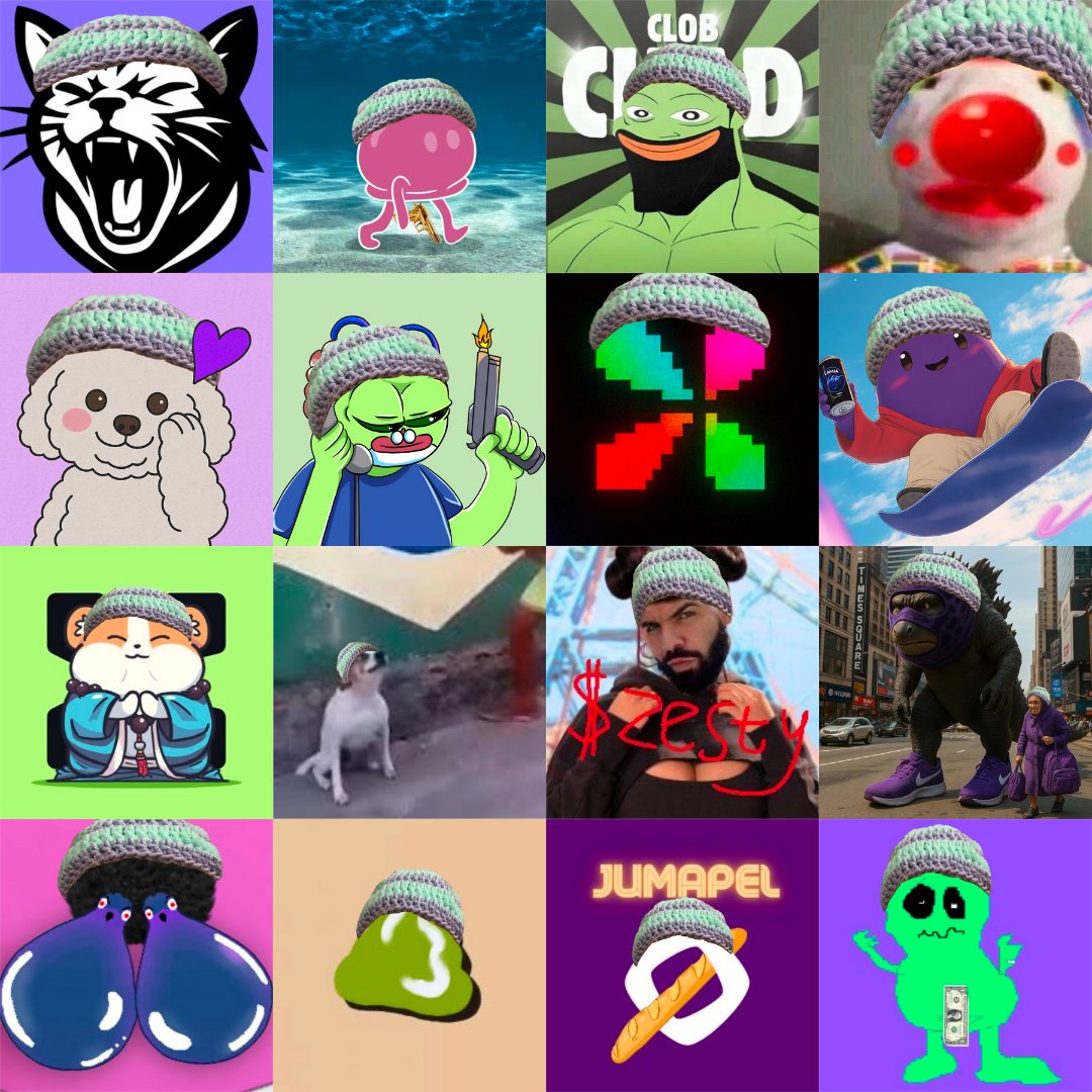 kiwi wif hat tweet media