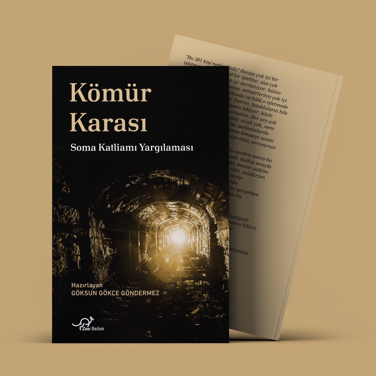Çıktı! “Bu 301 kişi neden öldü? Burası çok iyi bir işletme, çok kurumsal bir işletme; size çok güzel para veriyor, çok iyi davranıyor; bütün görevlerinizi yapıyorsunuz, sensörleriniz çok iyi çalışıyor, her şey çok yolunda ve hâlâ o işletmede çalışıyorsunuz, anladım. Patron,